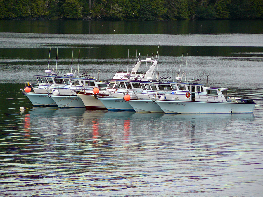 Docked Boats